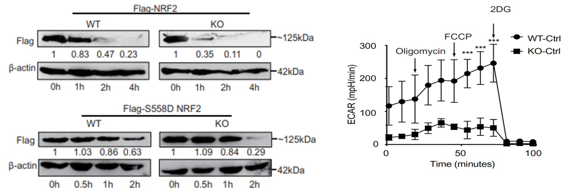 5fe2f014dfbb4789ab56c5e436d4e835.jpg 1.jpg