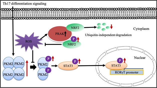 48ab3bc40e3d4b118e1c2487fcd2cd91.jpg 4.jpg