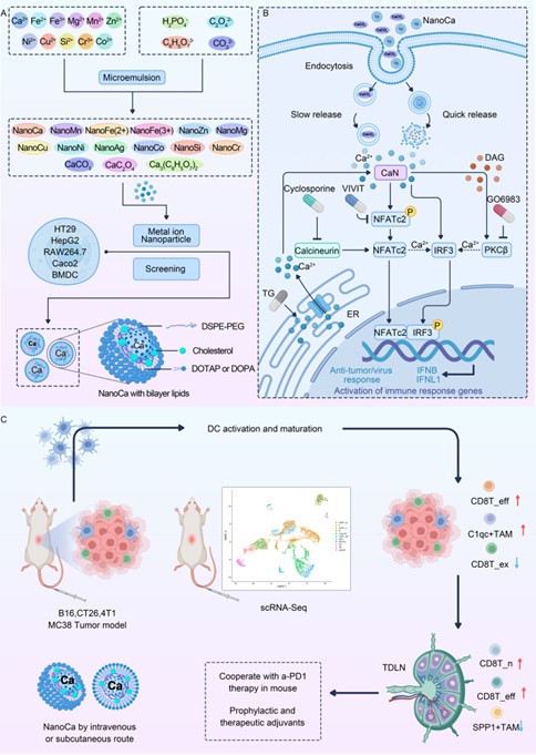 666ed8a5a8ec4e4aba6d45241345fc13.jpg 图片3.jpg