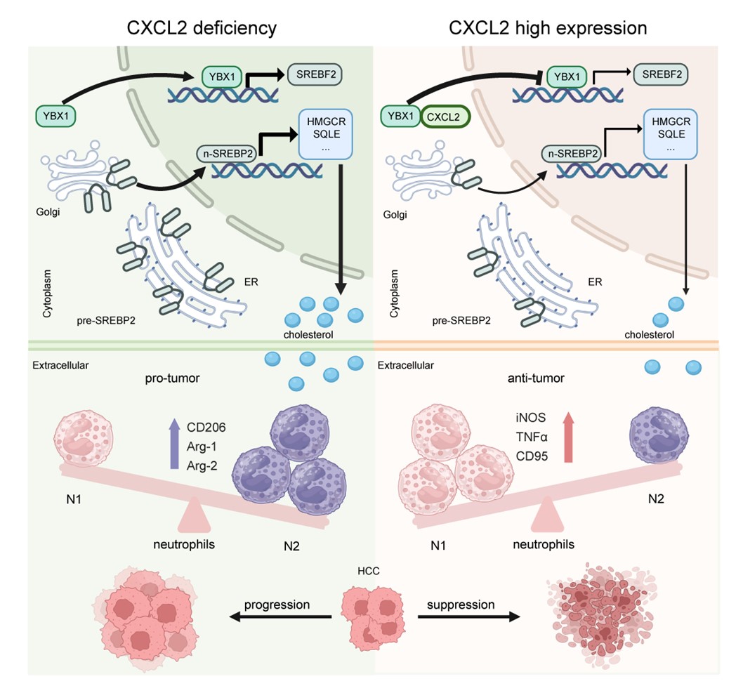 e7364d013a754cf6acbe22ddc5de4aab.jpg e7364d013a754cf6acbe22ddc5de4aab.jpg