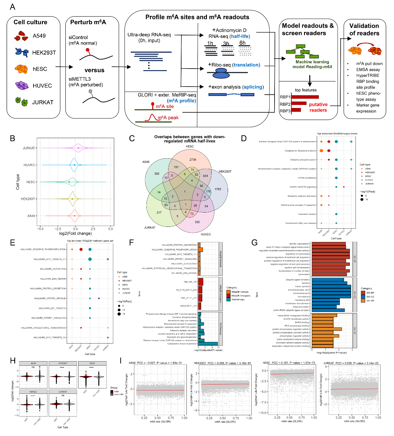 2d3cb12e0f8c4113bb05c9f4ce0076ab.png image002.png