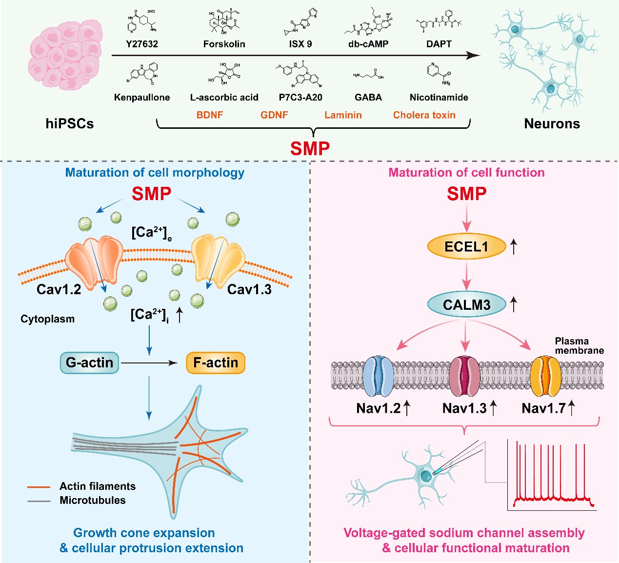 1878318fb4f042a794388b9c4fd538d2.jpg 图片1.jpg