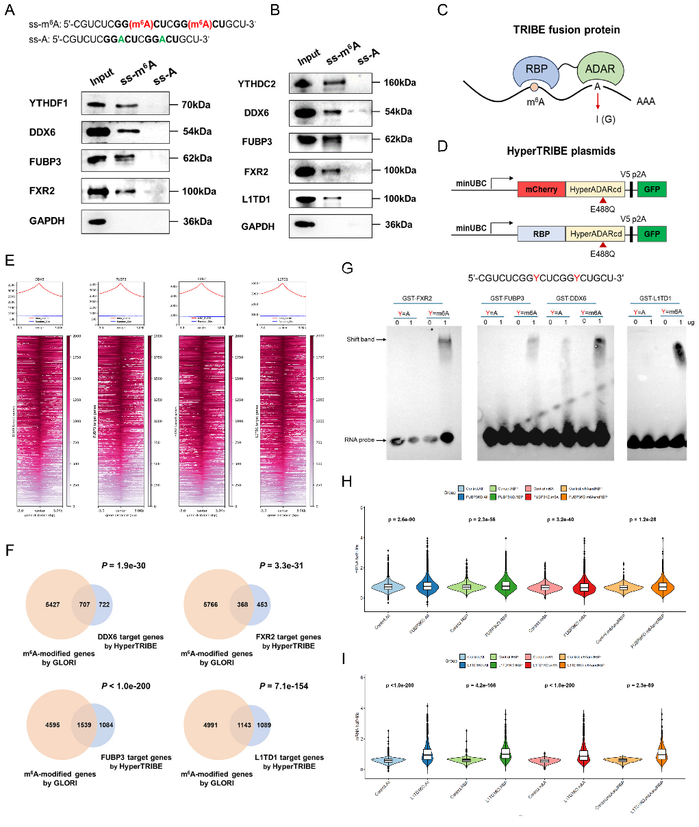 d79a28174c4d49d681d28797ac9ef6f0.png image003.png