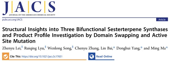 f539226df3ad4ade98548d24e6392175.jpg 图片3.jpg