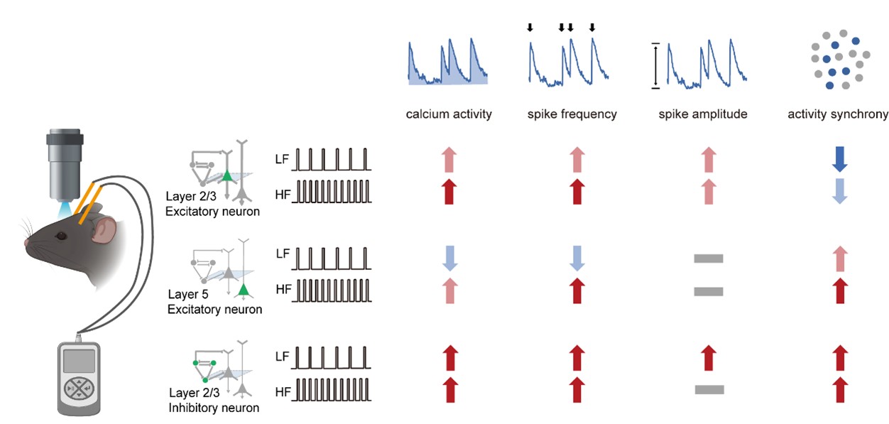 d7967c4275624f7bb9f86bb04b18dff4.jpg d7967c4275624f7bb9f86bb04b18dff4.jpg