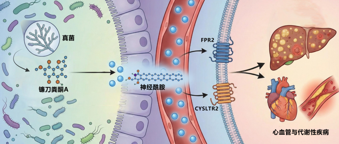 29cd1e7da2ae4c9fb136b76e3667afa3.png 29cd1e7da2ae4c9fb136b76e3667afa3.png