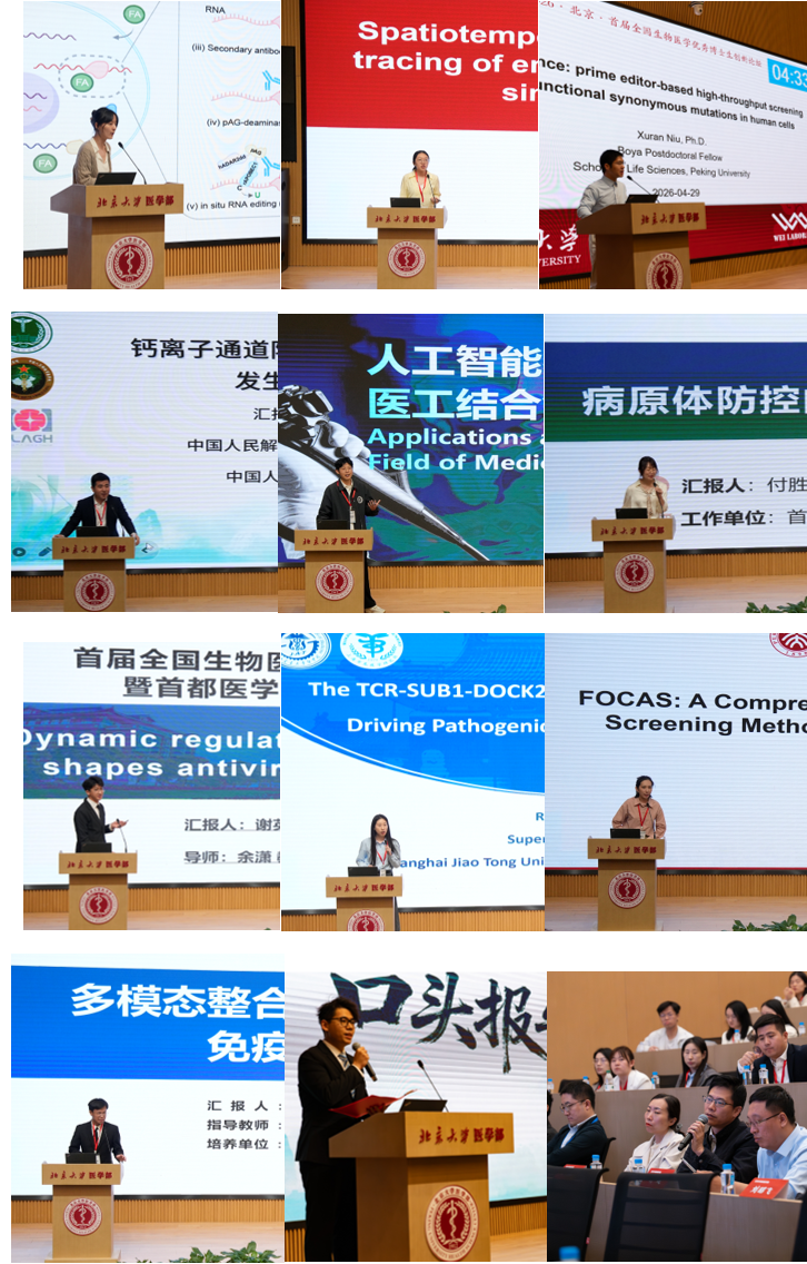 c968087cf0fa42bebbfdb306745e0ad4.png