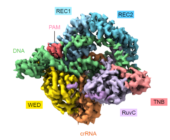 image003.png